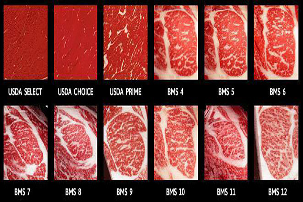 BMS là tiêu chuẩn về chất béo của thịt bò